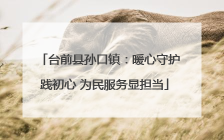 台前县孙口镇：暖心守护践初心 为民服务显担当